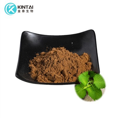 Agastache Rugosa Extract