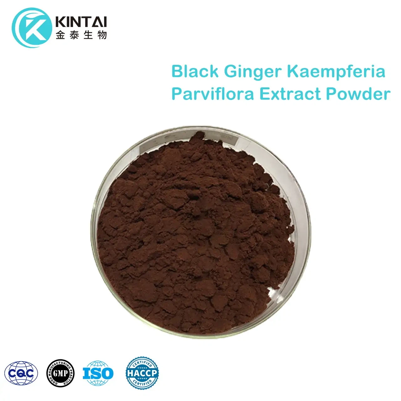 কালো আদা কেম্পফেরিয়া পারভিফ্লোরা এক্সট্র্যাক্ট পাউডার